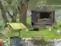 Mchezo Mystery Lake Escape online