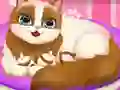 Mchezo Cute Kitty Pregnant online