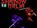 Mchezo Shadow of the Ninja online