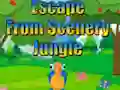 Mchezo Escape from Scenery Jungle online