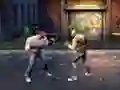 Mchezo Hood Fighter online
