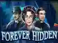 Mchezo Forever Hidden online
