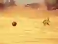 Mchezo Monkey Shooting online