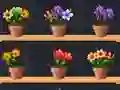 Mchezo Good Flower Master online