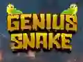 Mchezo Genius Snake online