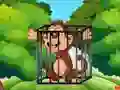 Mchezo Free the Captive Ape online