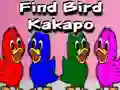 Mchezo Find Bird Kakapo online