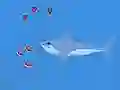 Mchezo Oceans Shees online