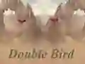 Mchezo Double Bird online