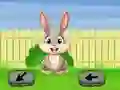 Mchezo Springtime Escape online