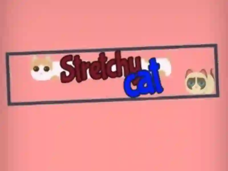Mchezo Stretchy Cat online