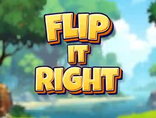 Mchezo Flip It Right online