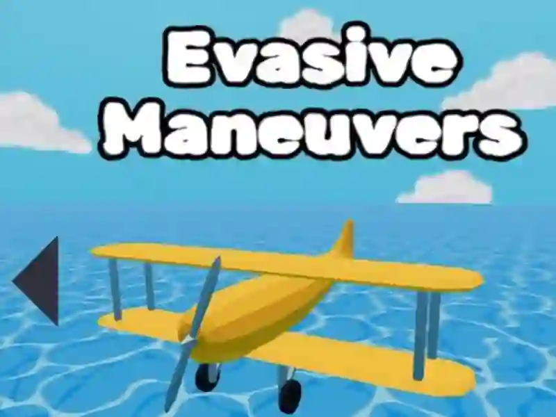 Mchezo Evasive Maneuvers online