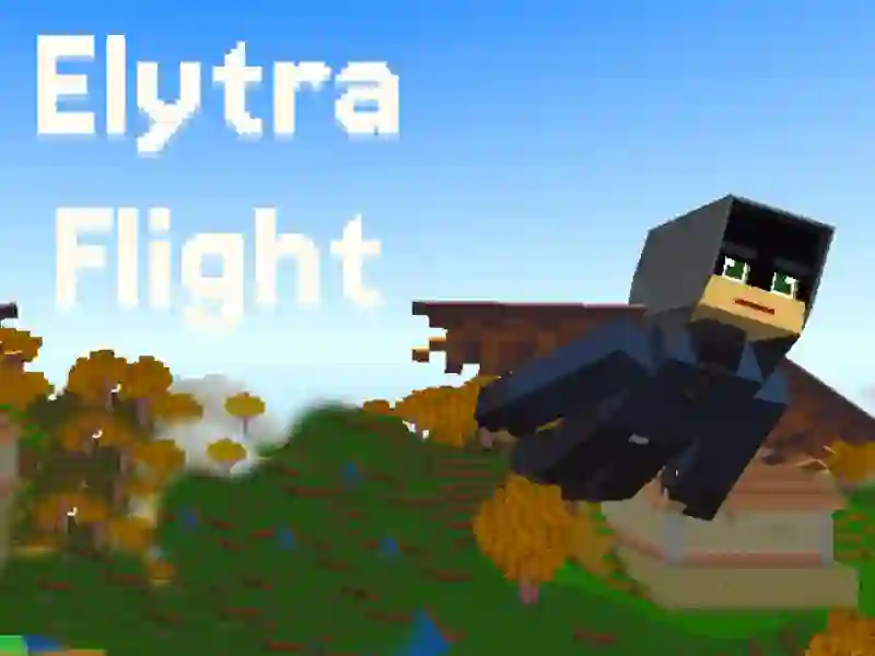 Mchezo Elytra Flight online