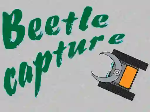 Mchezo Beetle Capture online