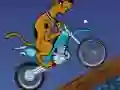 Mchezo Scooby Doo Trail online