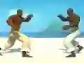 Mchezo Capoeira fighter online
