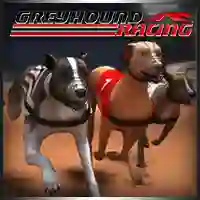 Mchezo Greyhound Racing online