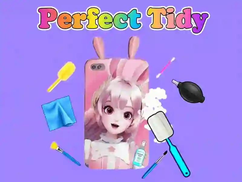 Mchezo Perfect Tidy online