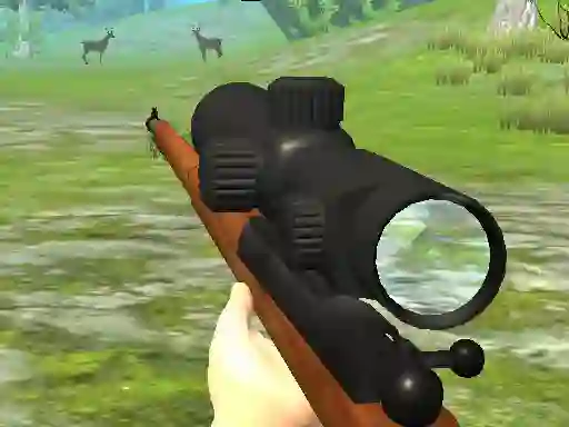 Mchezo Hunter 3D online