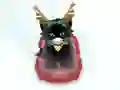 Mchezo Pet Sledding online