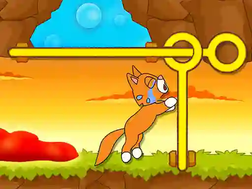 Mchezo Save The Kitten online