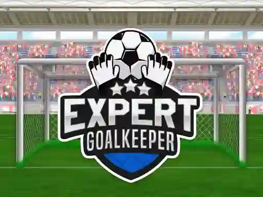Mchezo Expert Goalkeeper online