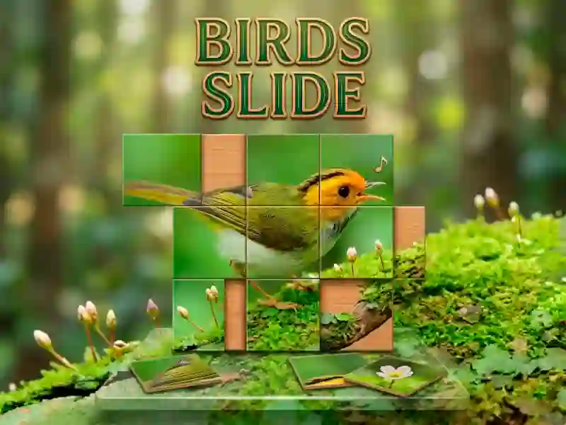 Mchezo Birds Slide online