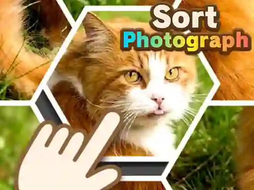 Mchezo Sort Photograph online