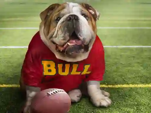 Mchezo Funny Doggy online