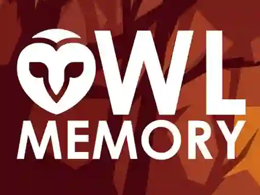 Mchezo Owl Memory online