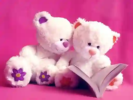 Mchezo Cute Teddy Bears Slide online