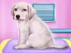 Mchezo Labrador at the doctor salon online