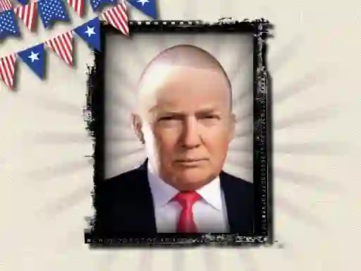 Mchezo The President of the USA online