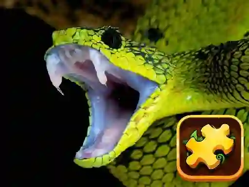Mchezo Snake Puzzle Challenge online