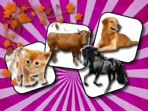 Mchezo Domestic Animal Memory Challenge online