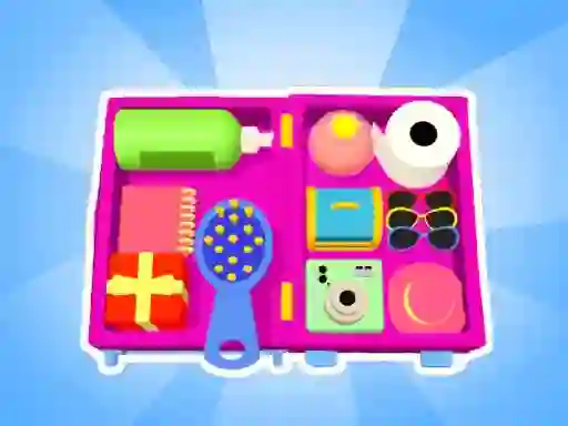 Mchezo Organizer master online