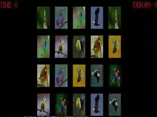 Mchezo Memorize the birds online