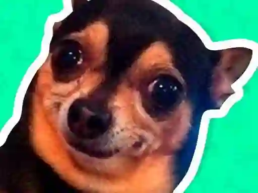 Mchezo What meme dog are you ? online