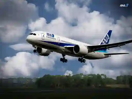 Mchezo Boeing Dreamliner Puzzle online