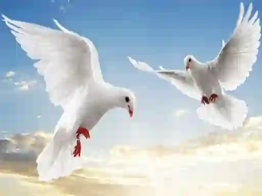 Mchezo Flying Birds online