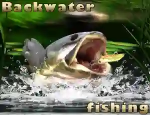Mchezo Backwater Fishing online