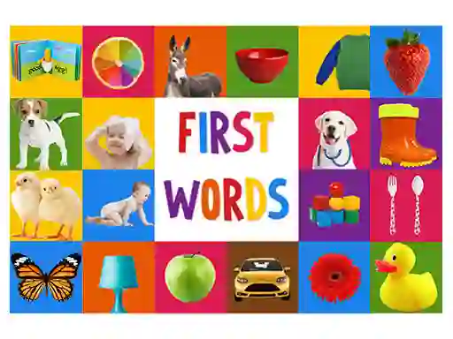 Mchezo First Words online