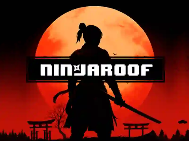 Mchezo Ninja Roof online