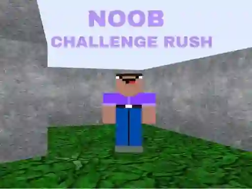 Mchezo Noob Challenge Rush online