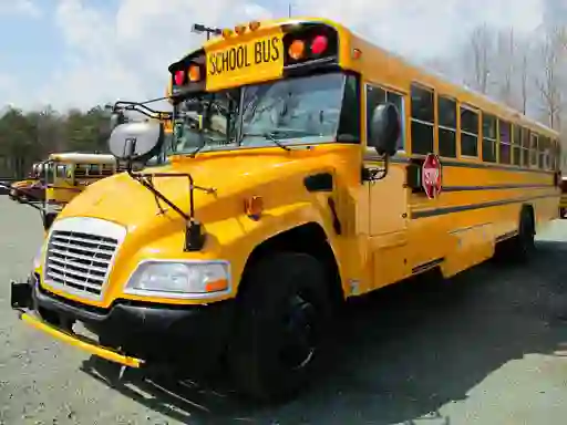 Mchezo School Buses Puzzle online