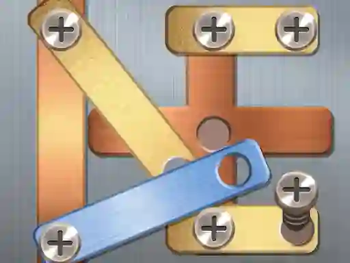Mchezo Screw Puzzle online