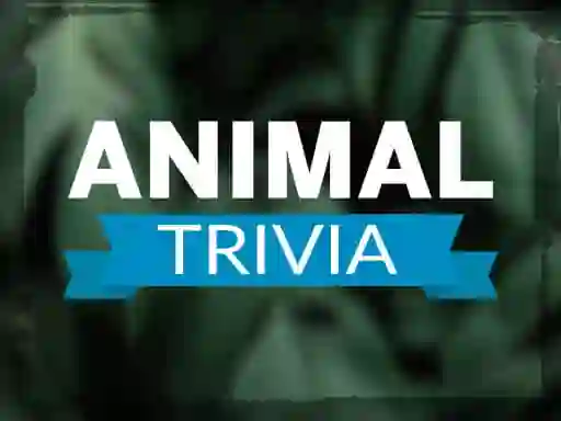 Mchezo Animal Trivia online