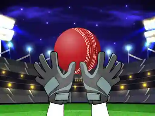 Mchezo Catch The Balls online