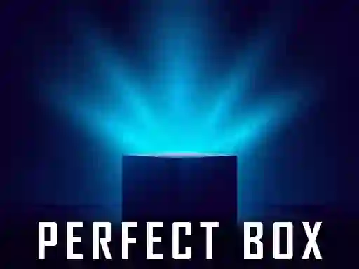 Mchezo Perfect Box online
